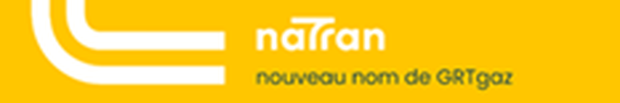 Logo de la société NATRAN